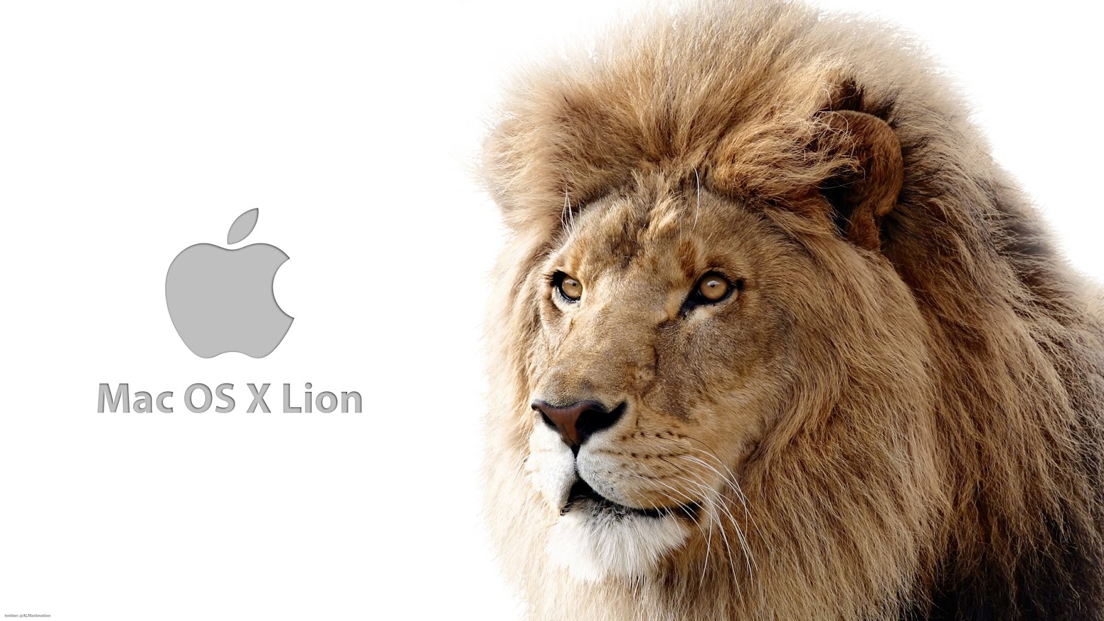 download mysql for mac lion